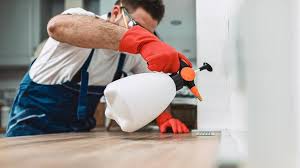 Best Real Estate Pest Inspections  in Boerne, TX